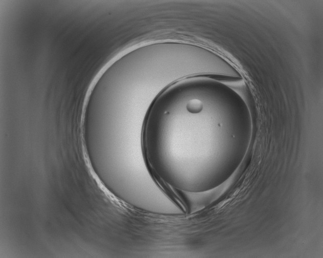 X0000084051536200702232338