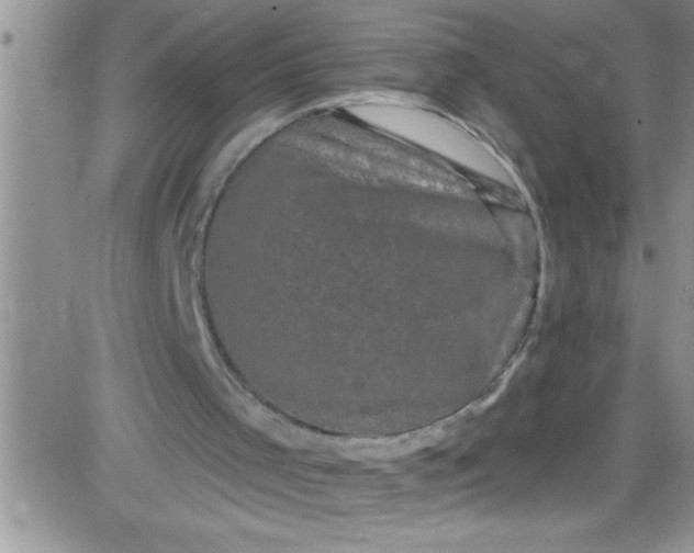 X0000084050001200703022227