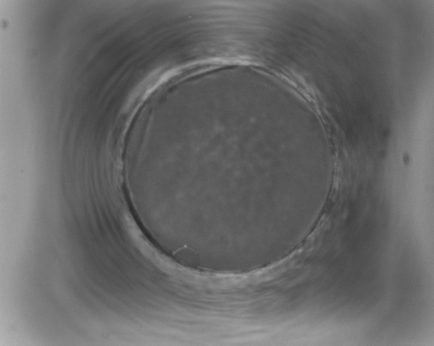 X0000084050002200703022227