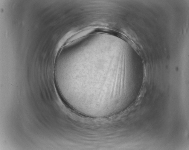 X0000084050003200703022227