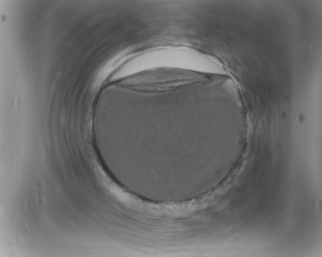 X0000084050005200703022227