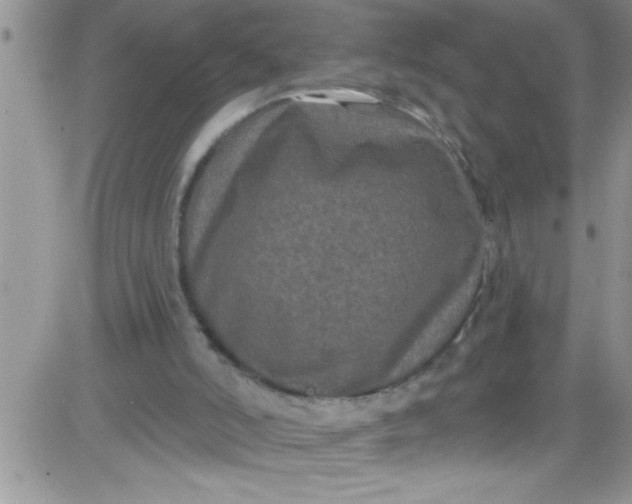 X0000084050006200703022226