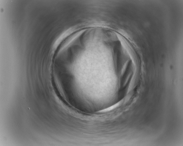 X0000084050007200703022226