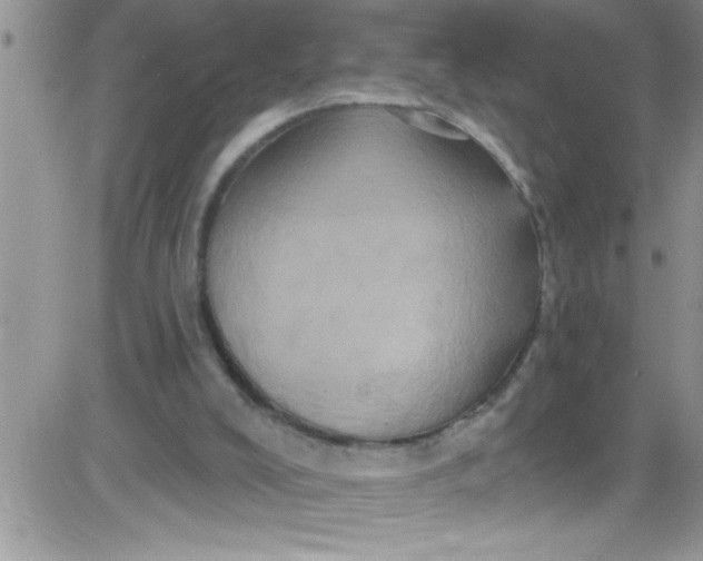 X0000084050008200703022226