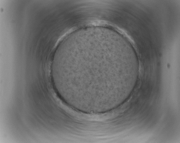 X0000084050010200703022226