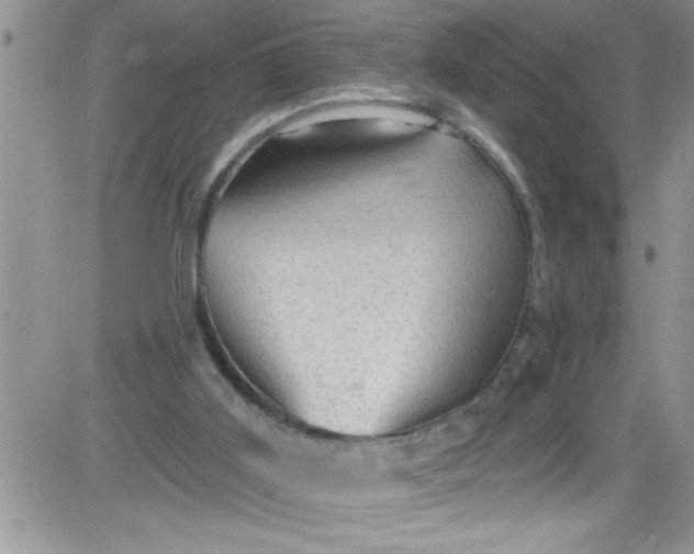 X0000084050011200703022226