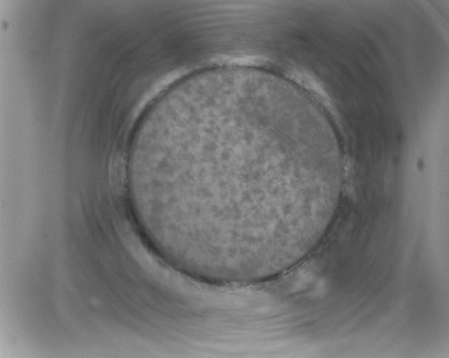 X0000084050012200703022226