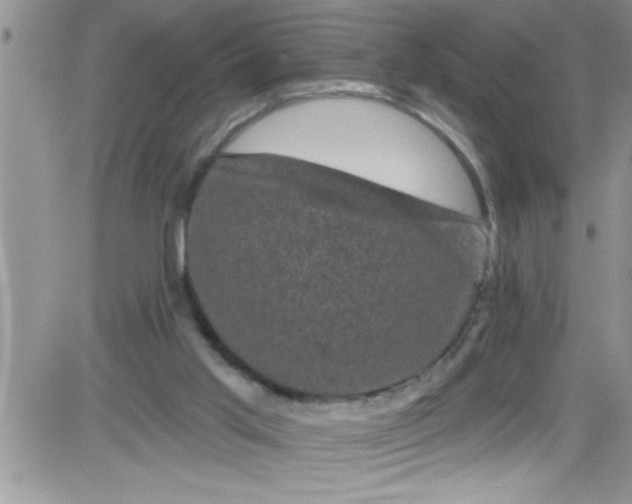 X0000084050013200703022226