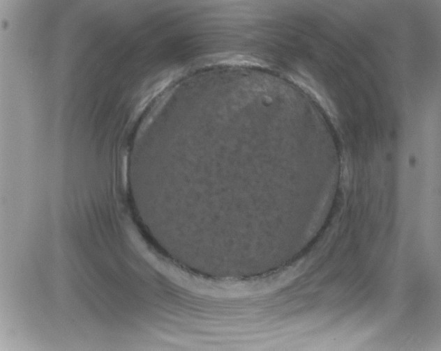 X0000084050014200703022226