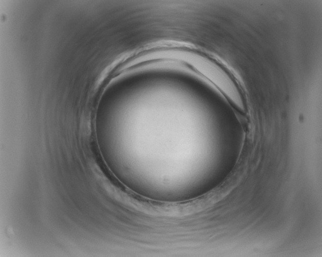 X0000084050015200703022226