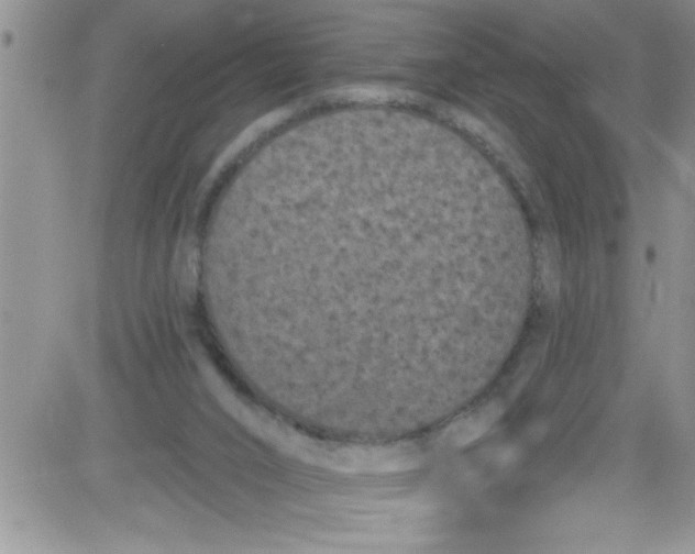 X0000084050016200703022226