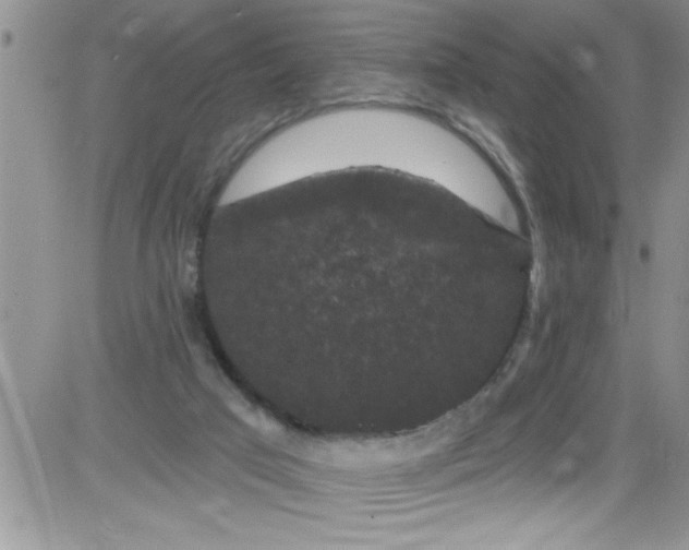 X0000084050017200703022226