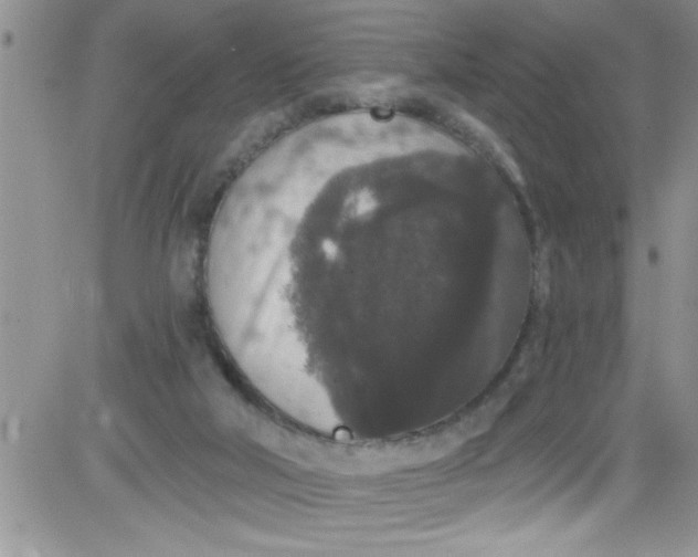 X0000084050018200703022226