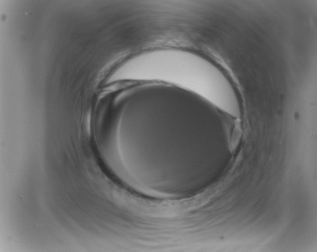 X0000084050019200703022226