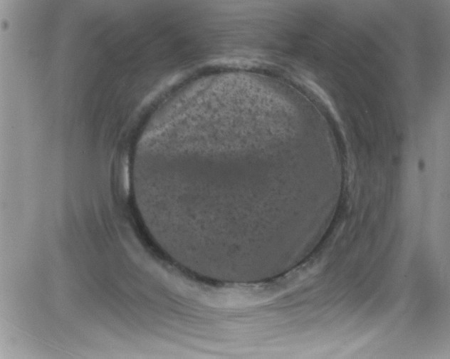 X0000084050020200703022226