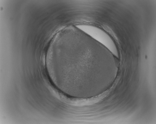 X0000084050021200703022226