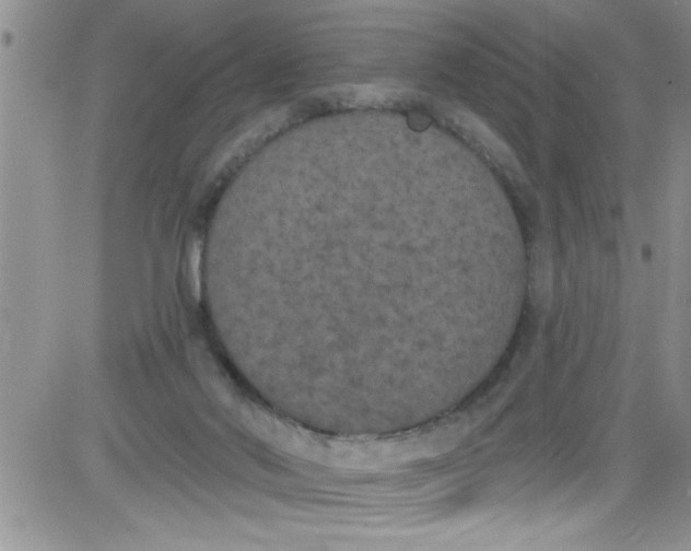 X0000084050022200703022226