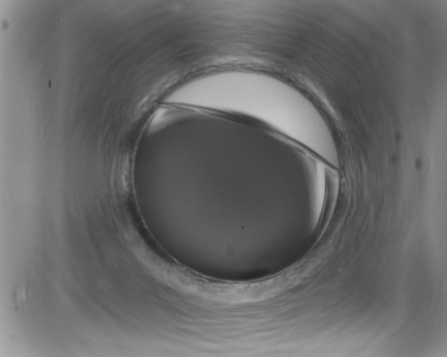 X0000084050023200703022226