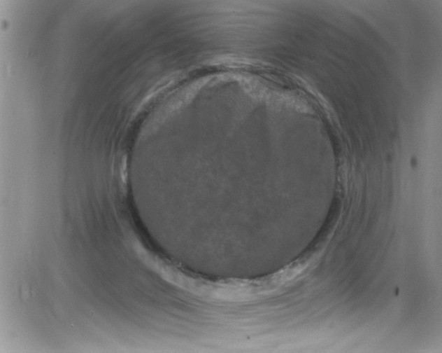 X0000084050024200703022226