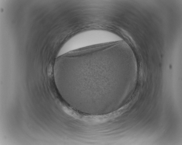 X0000084050025200703022226