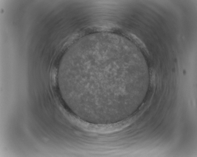 X0000084050026200703022226