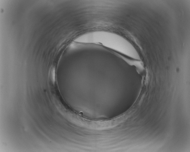 X0000084050027200703022226