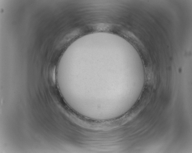 X0000084050028200703022226