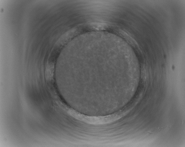 X0000084050030200703022226