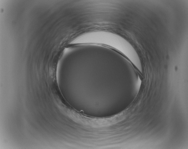 X0000084050031200703022226