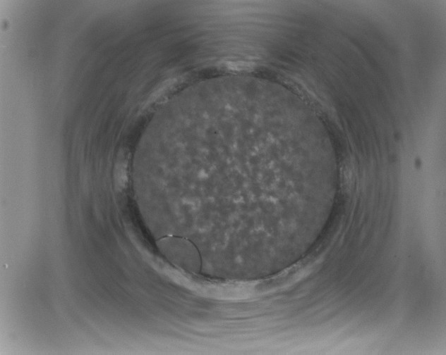 X0000084050032200703022226