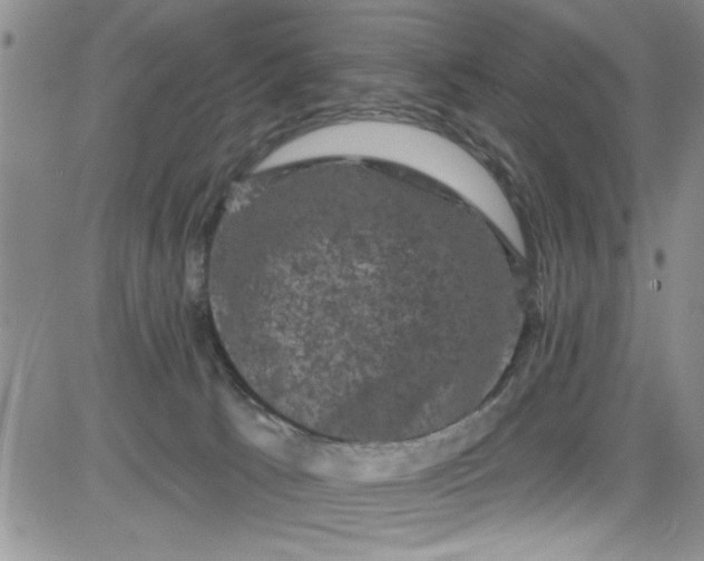 X0000084050033200703022226