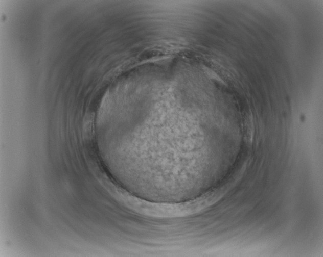 X0000084050034200703022226