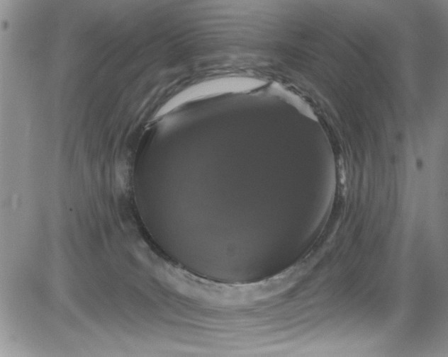 X0000084050035200703022226