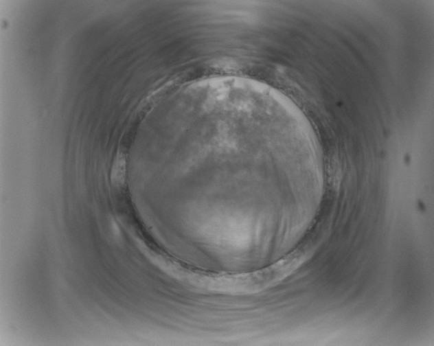 X0000084050036200703022226