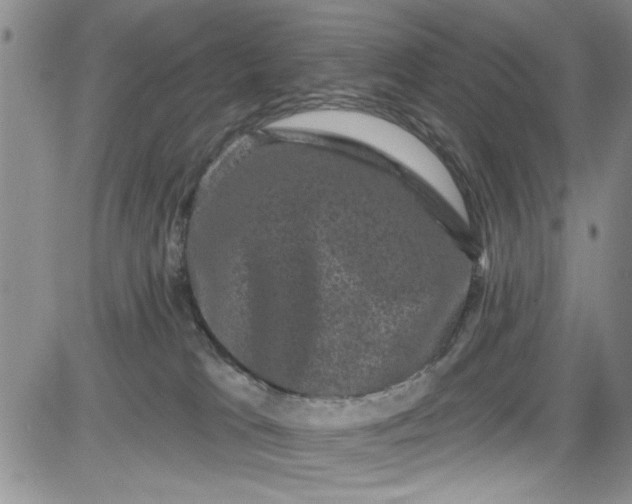 X0000084050037200703022226