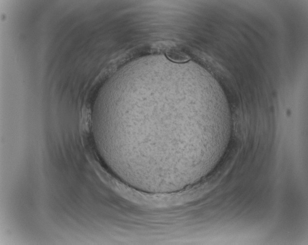 X0000084050038200703022226