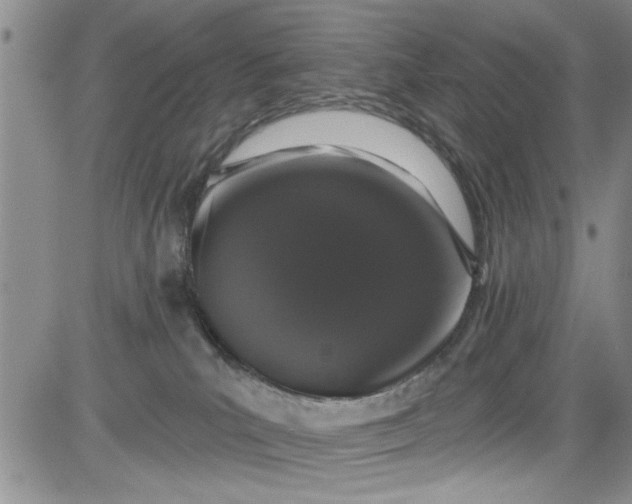 X0000084050039200703022226