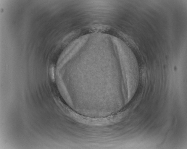 X0000084050042200703022226