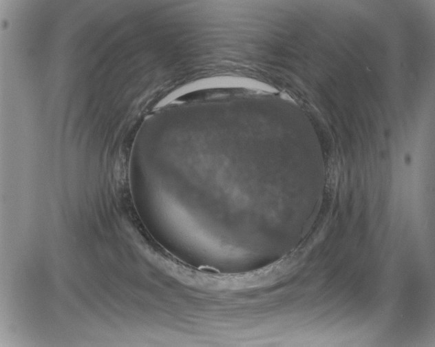 X0000084050043200703022226