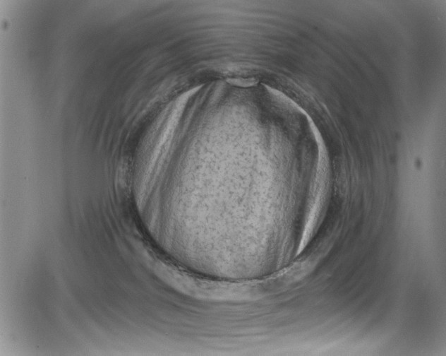 X0000084050044200703022226