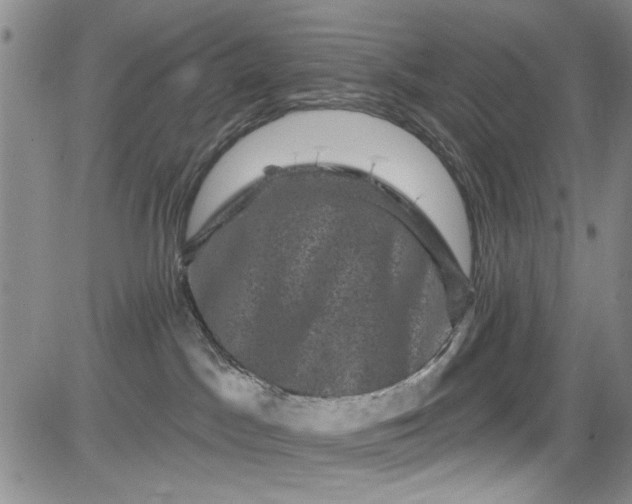 X0000084050045200703022226