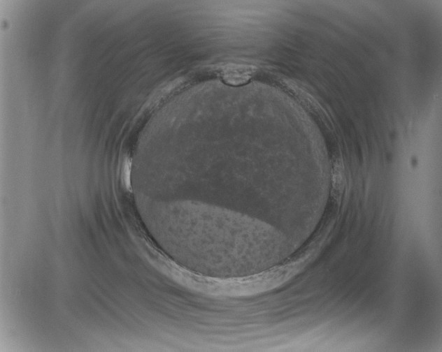 X0000084050046200703022226