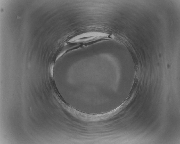 X0000084050047200703022226