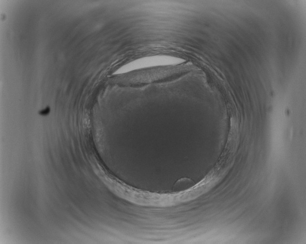 X0000084050048200703022226