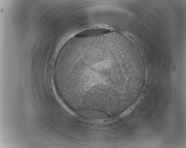 X0000084050049200703022225