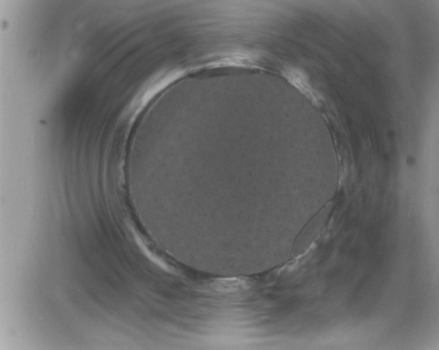 X0000084050050200703022225