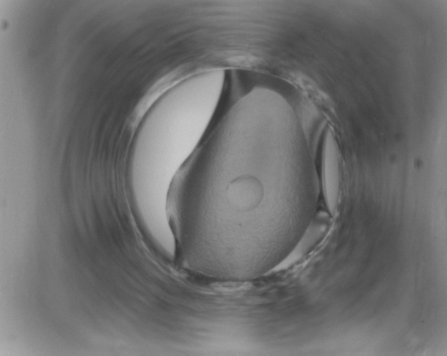 X0000084050051200703022225