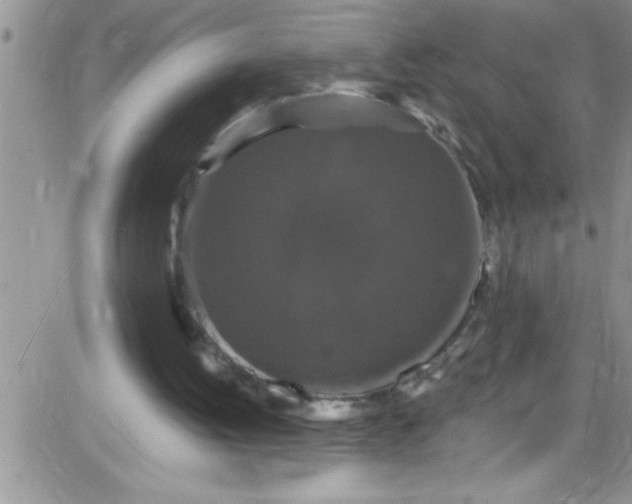 X0000084050052200703022225