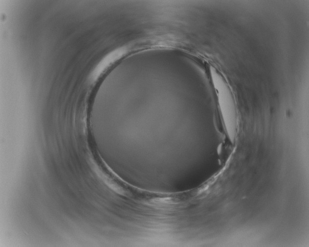 X0000084050054200703022225