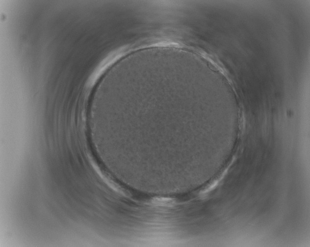 X0000084050055200703022225